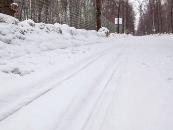 В парке открыта всепогодная лыжная трасса