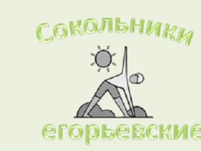 Созвездие Сокольники: летим на Егорьевск!